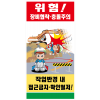 충돌주의